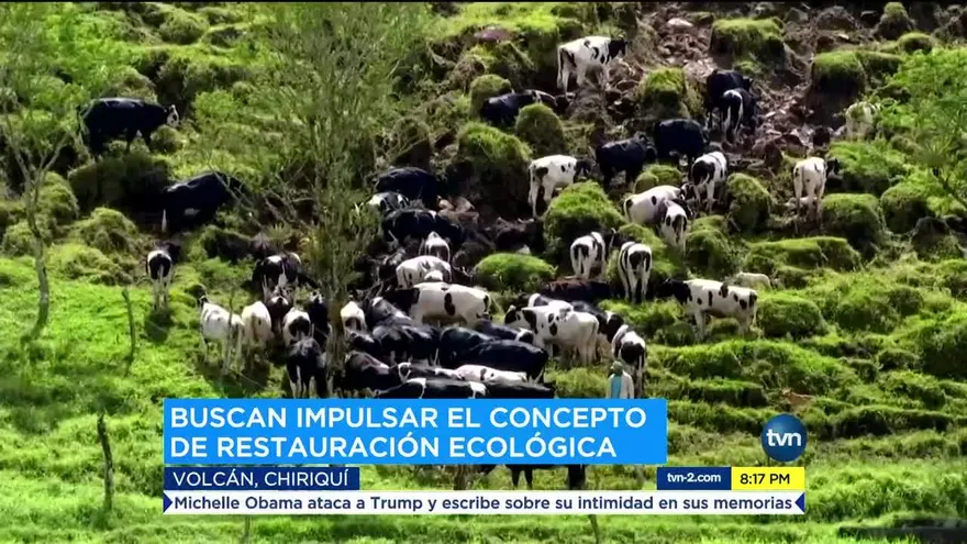 Restauración ecológica