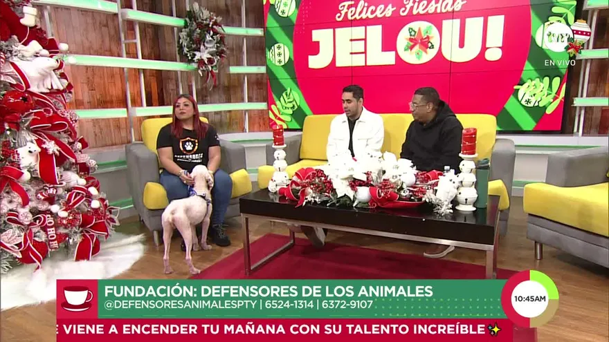 Una labor incansable por el bienestar de los animales en Panamá