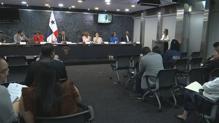 Diputados de la Comisión de Salud acuerdan citar al director encargado del Idaan