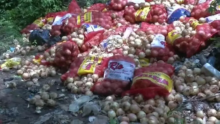 Tiran a la basura 40 sacos de cebolla