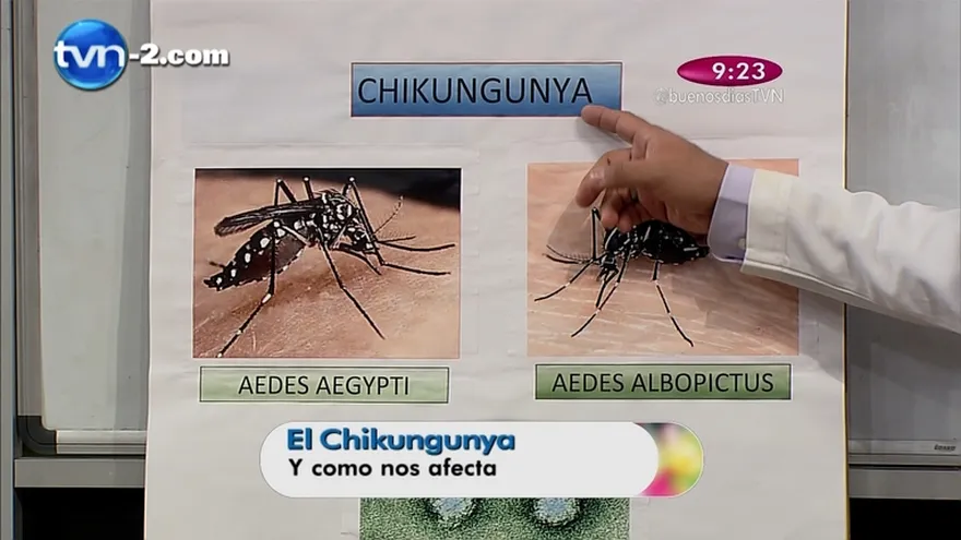 Segmento Salud al Día -  El Chicungunya y cómo nos afecta