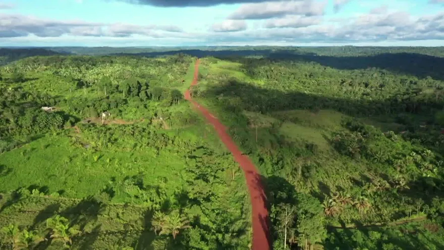 Deforestación en Amazonía brasileña aumenta en julio 278% interanual