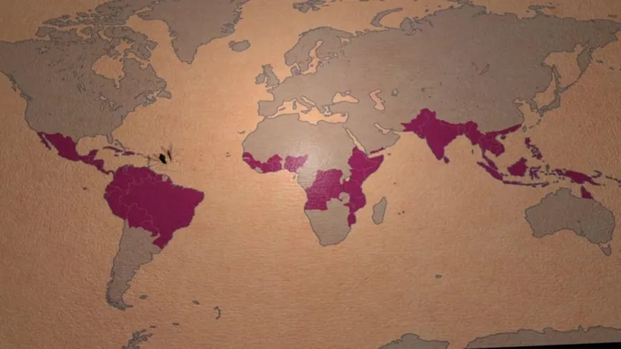 Videografía: El dengue, chikungunya y zika