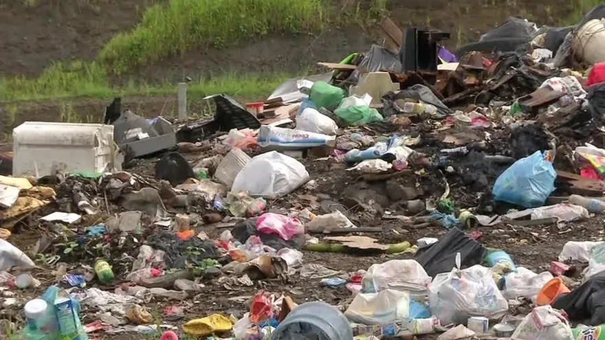 Roedores pueden causar enfermedades