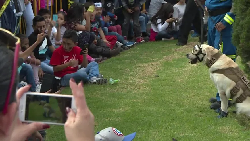 Se jubila Frida, la heroica perra rescatista de México