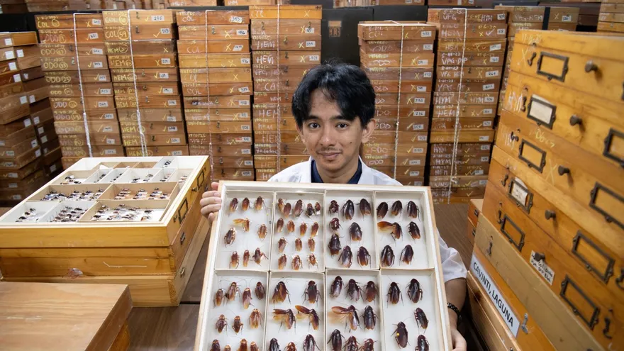 Cristian Lucanas, entomólogo de 31 años de la Universidad de Filipinas.