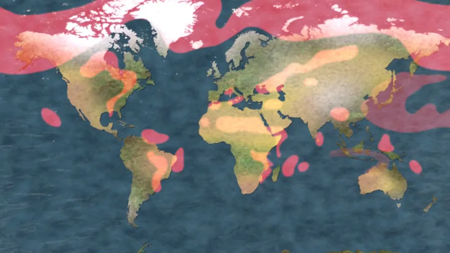 Videografía: Refugiados Climáticos