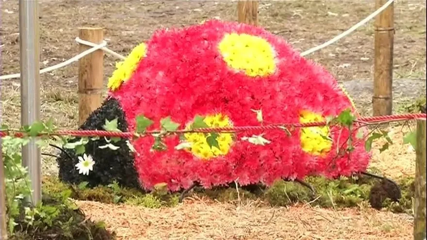 Panameños disfrutan de la Parada de las Flores en Chiriquí