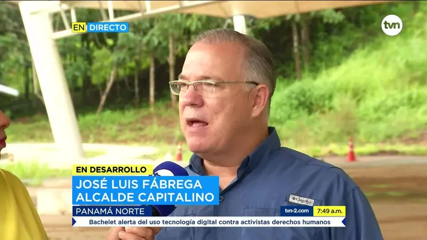 Preparativos para fiestas patrias y Navidad