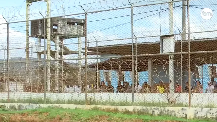 Uso de brazalete como medida cautelar podría usarse el otro año