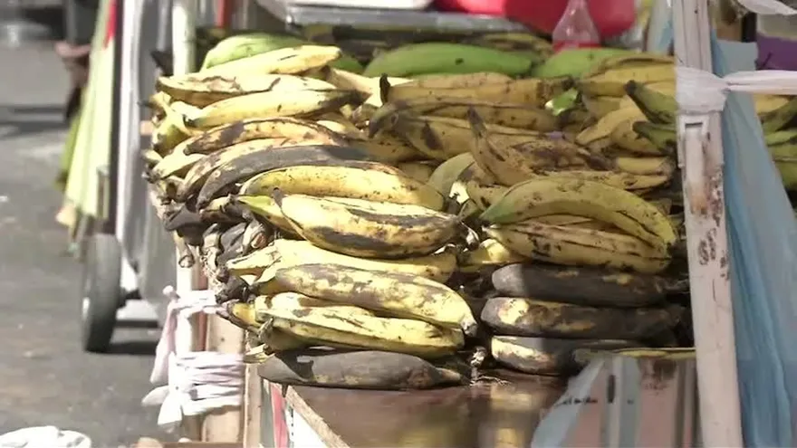 Panameños preocupados por el aumento del plátano