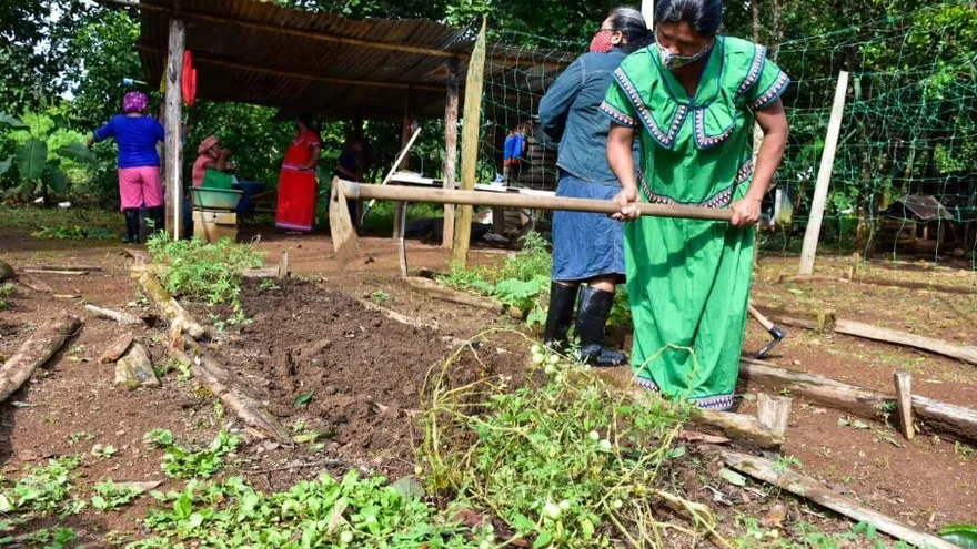 Proyecto de $389 mil potenciará granjas autosostenibles de 800 familias en 5 provincias del país. Foto/Mides