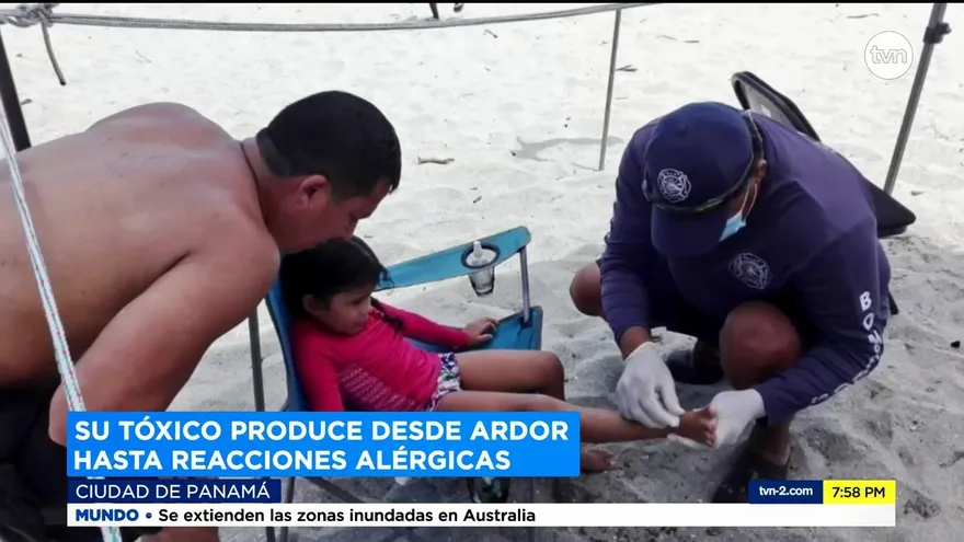 Riesgo por presencia de medusas o agua mala en las playas
