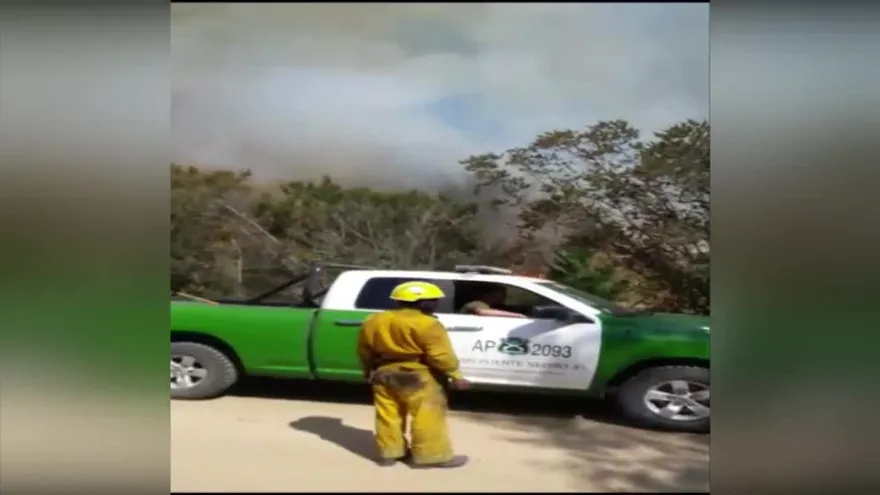 Equipo panameño combate incendios forestales en Chile