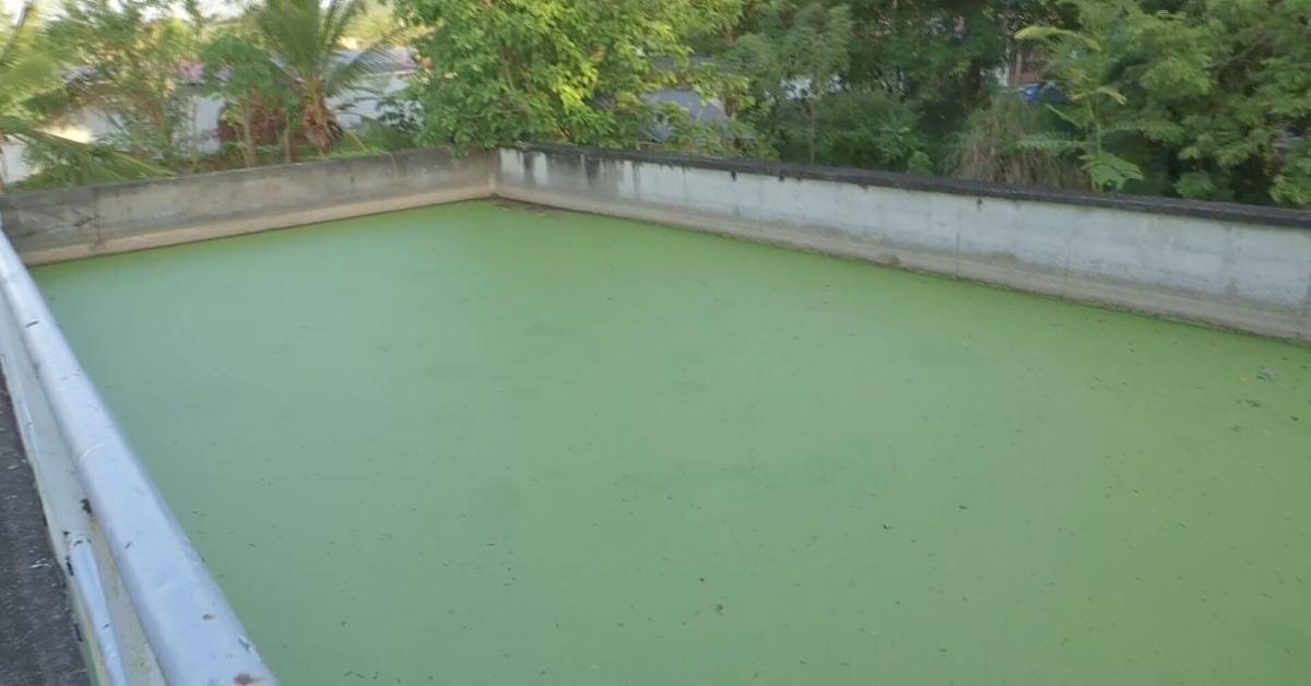 Colapso de plantas de tratamiento en Ciudad del Futuro, en Arraiján, expone problemas sanitarios y vacíos legales