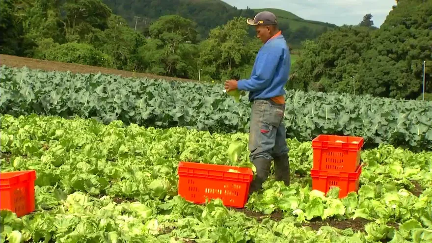 Productores están a favor de proyecto de ley de Aupsa