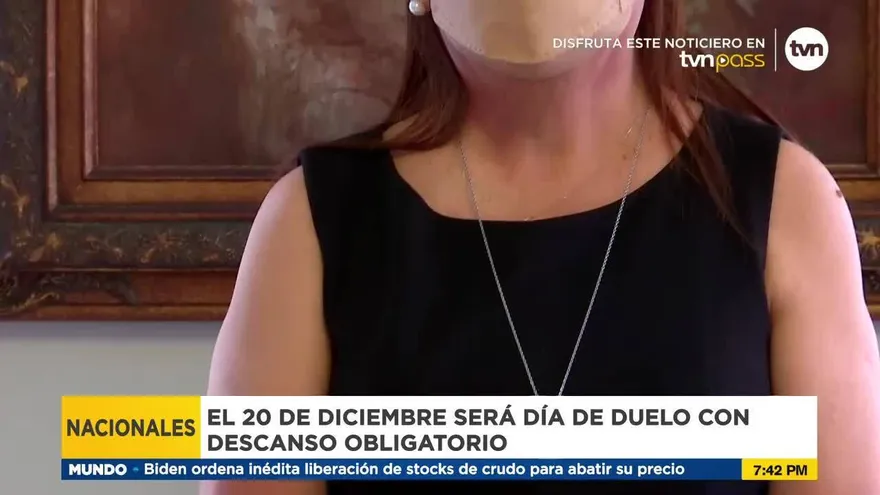 Ejecutivo sanciona ley sobre el 20 de diciembre