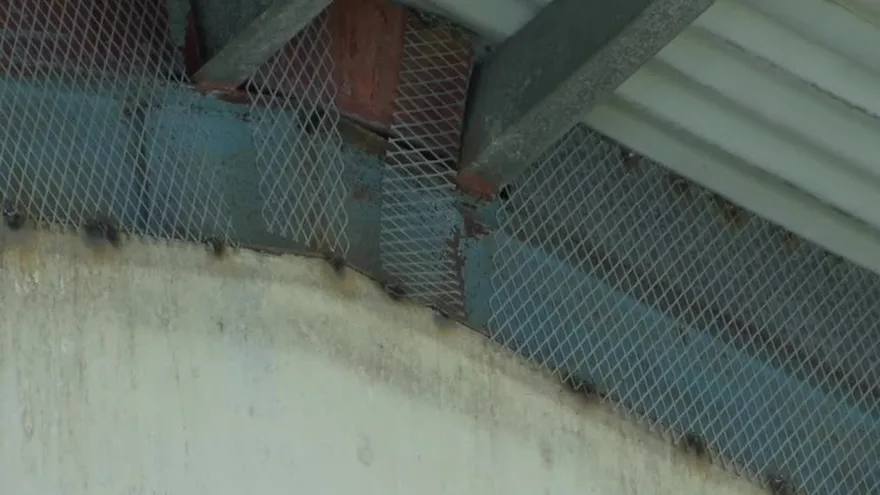 Reanudarán las clases en escuela República de Alemania