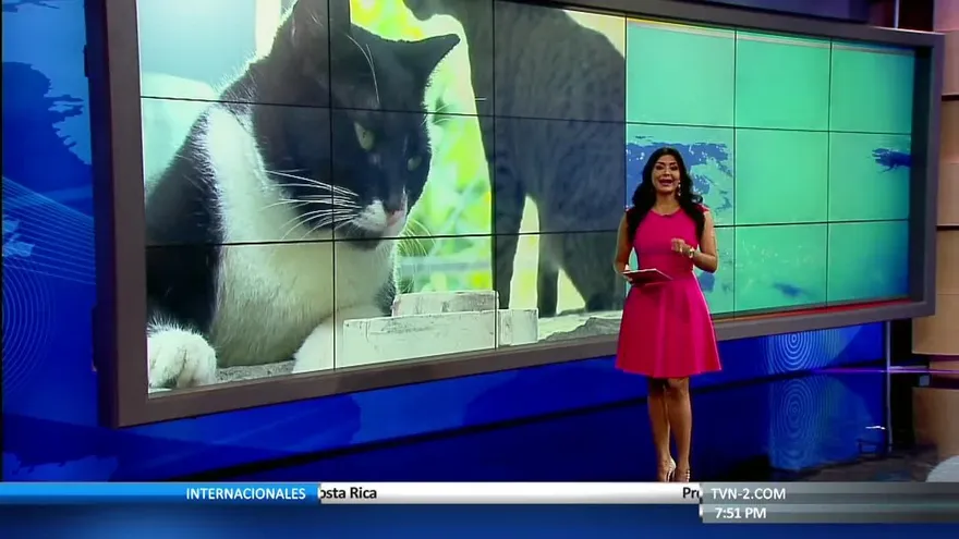 Noticiero Estelar 23 de mayo del 2017 - Bloque 6