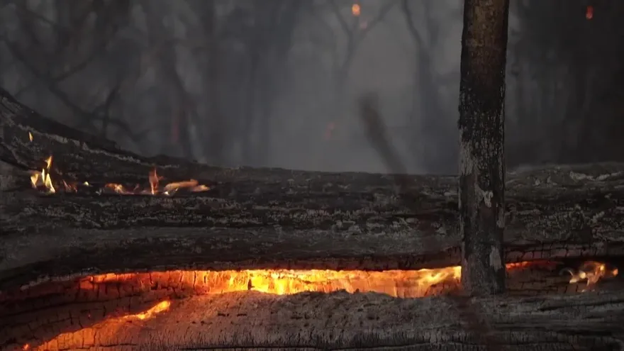 Incendios provocados devastan reservas ecológicas en Bolivia