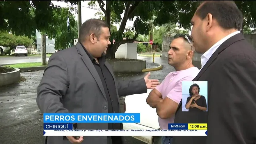 Presentan denuncia por maltrato animal en Chiriquí