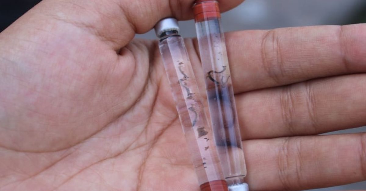 Dengue aumenta en Panamá: más de 2,000 contagios y seis muertes en lo que va del año