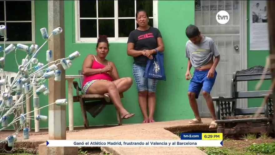 Piden reconsiderar tala de árboles en Brooklincito