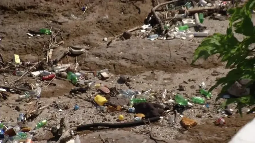 Plásticos en el mar afectan reproducción de peces