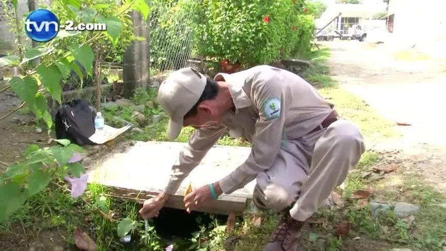 Lluvias y el aumento de los criaderos de mosquitos