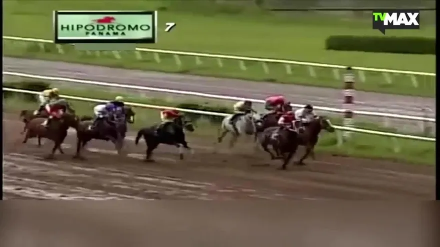 La yegua 'Chantik' podría hacer barrida de 3 carreras de Triple Corona Nacional