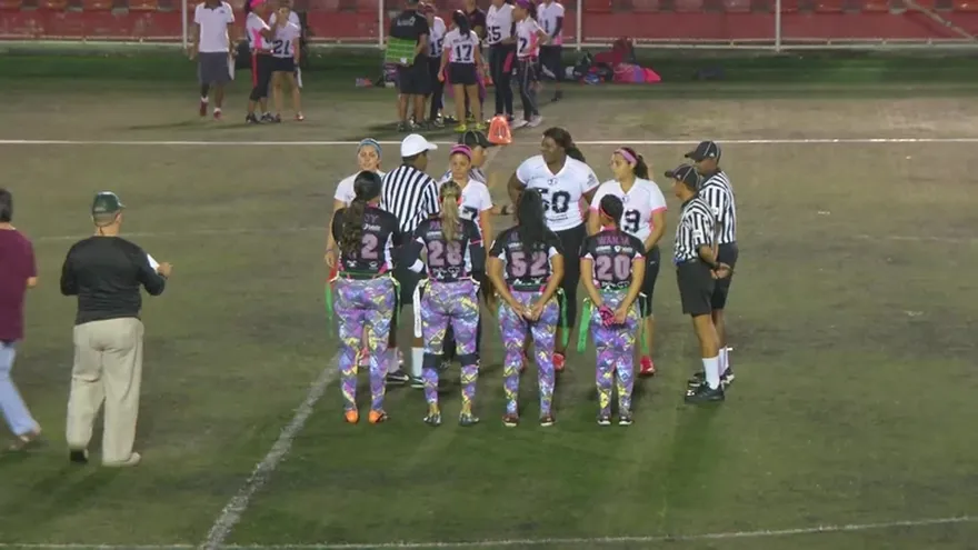 Dragonflies vs Gorillaz