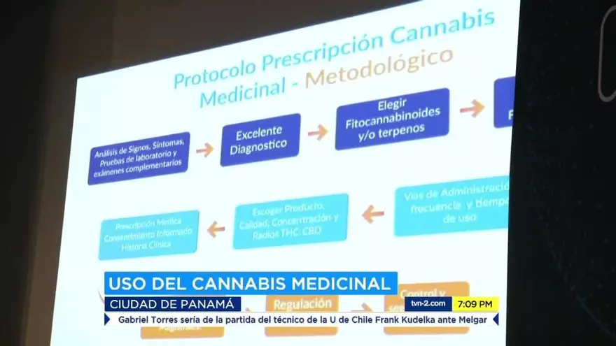 Panamá es sede de congreso sobre cannabis