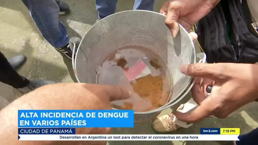 El dengue ha tomado fuerza en varios países de Latinoamérica