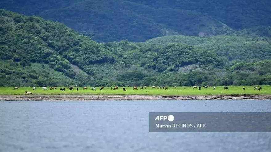 El Suchitlán es un lago artificial de 13.500 hectáreas