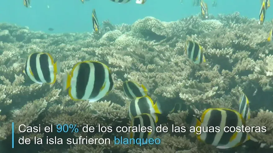 Nueva alerta sobre el impacto del calentamiento global