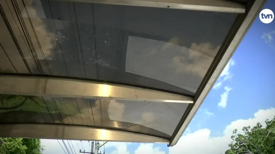 Contenido exclusivo: Paradas, la amarga espera