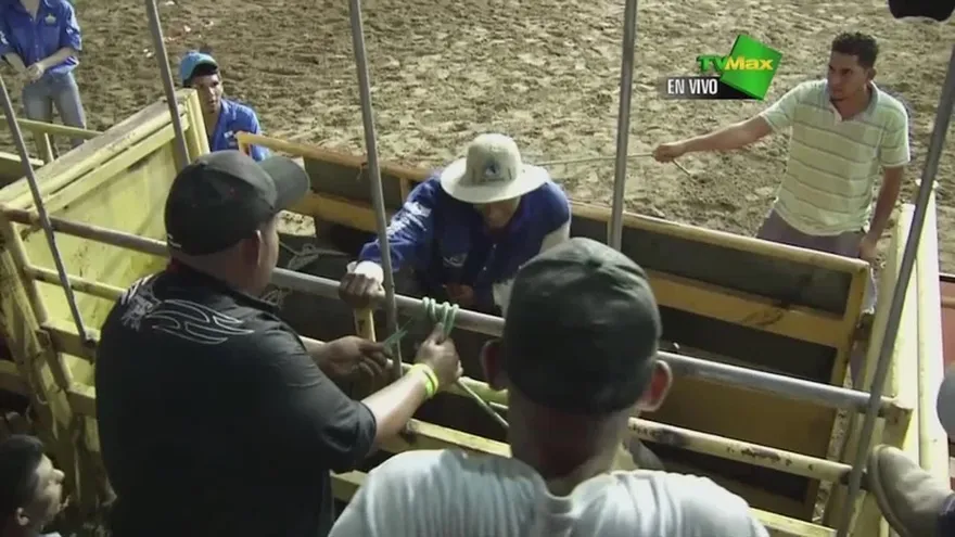 Exhibicion de monta de toro