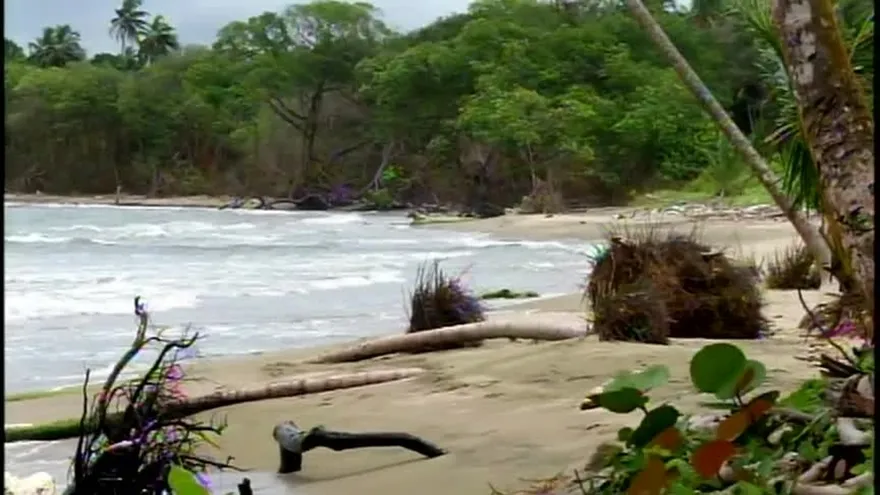 Extracción de arena amenaza la Costa Debajo de Colón