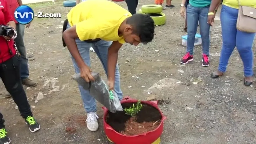 Celebran día del medio ambiente regalando plantones a panameños para reforestar