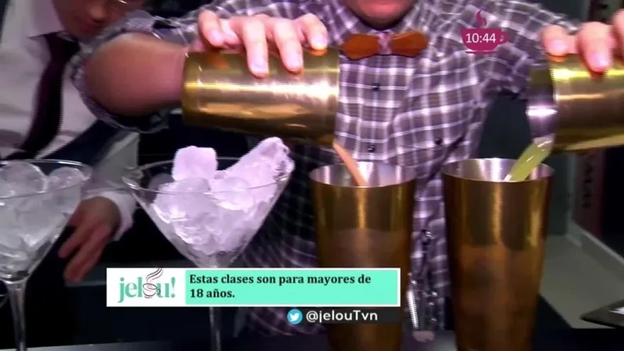 ¿Quieres convertirte en un Bartender Pofesional?