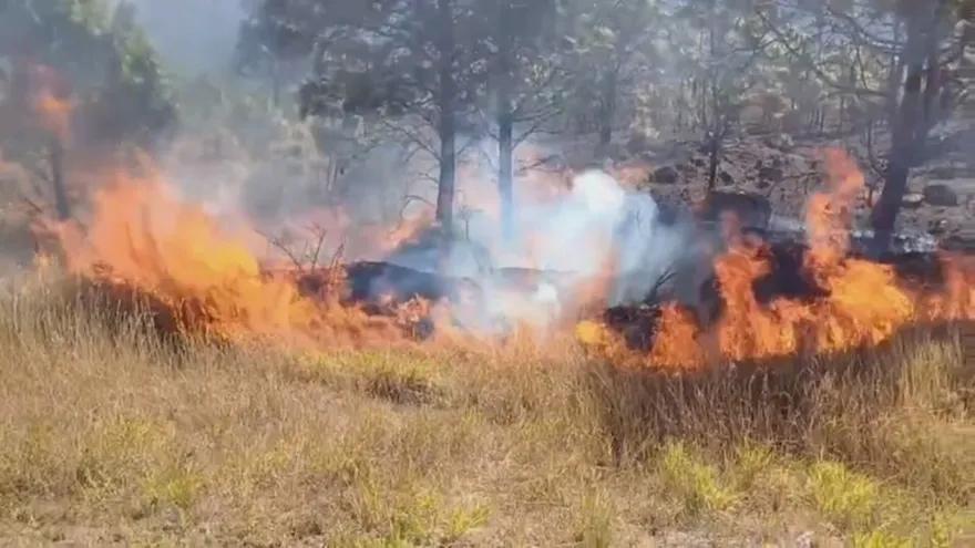 Incendios afectan áreas del Parque Nacional Volcán Barú