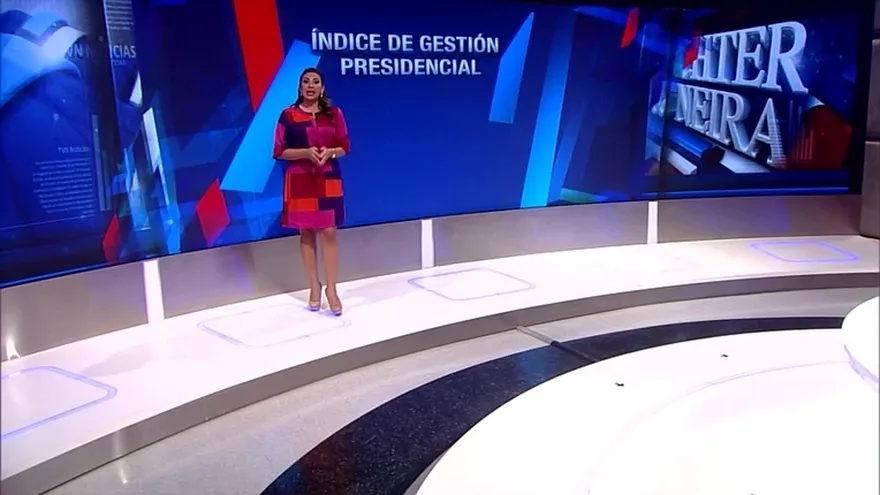 Análisis de las encuestas de Dichter & Neira