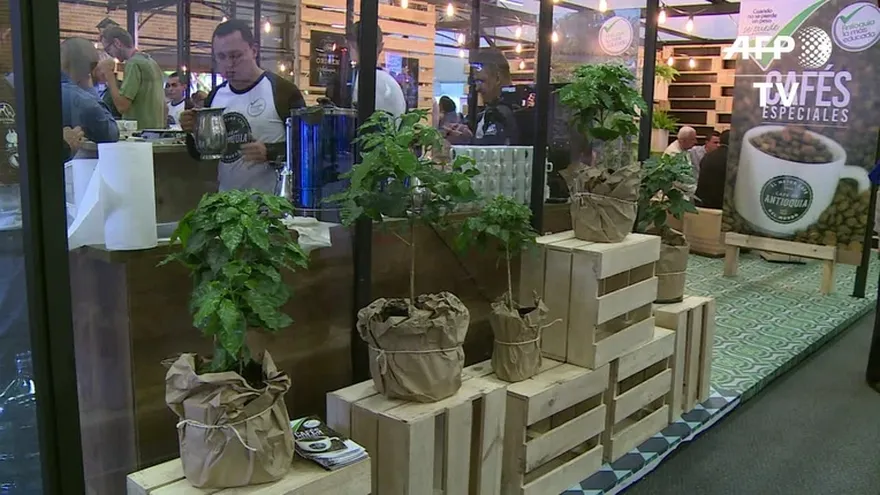 Consumo de café se duplicó en 20 años