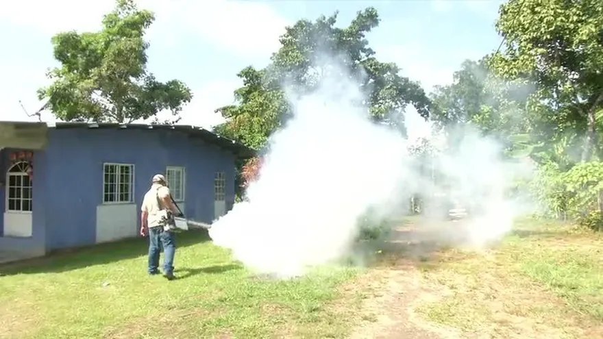 Aumentan casos de dengue en Pacora