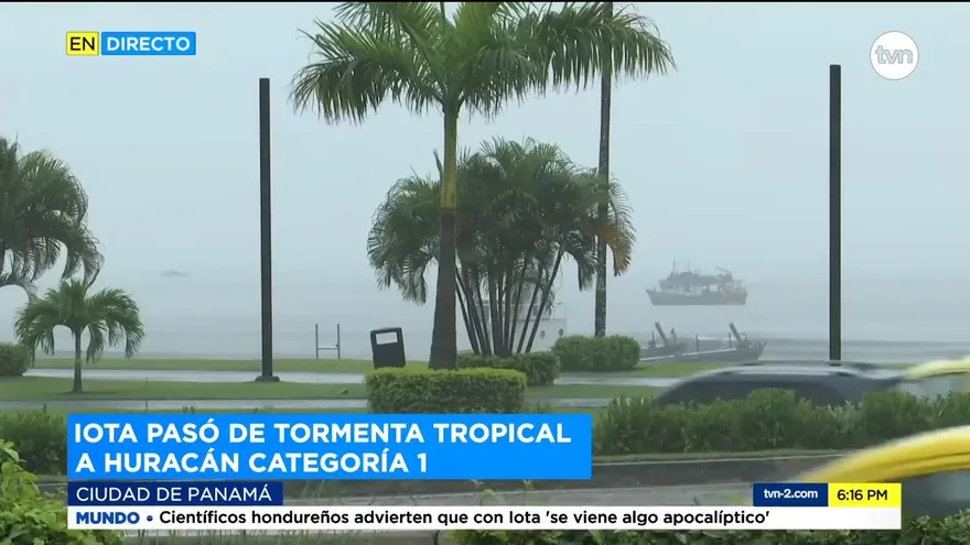 En próximas horas IOTA podría convertirse en categoría 2