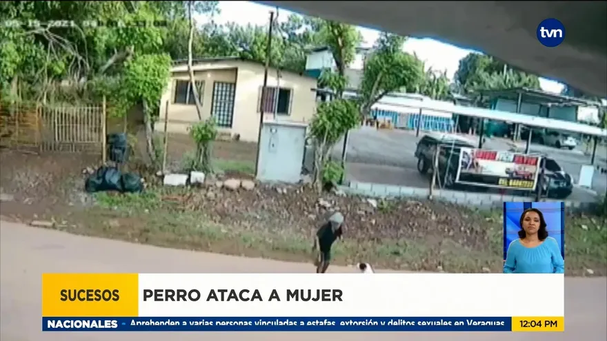 Mujer atacada por perro en Chiriquí sale del hospital
