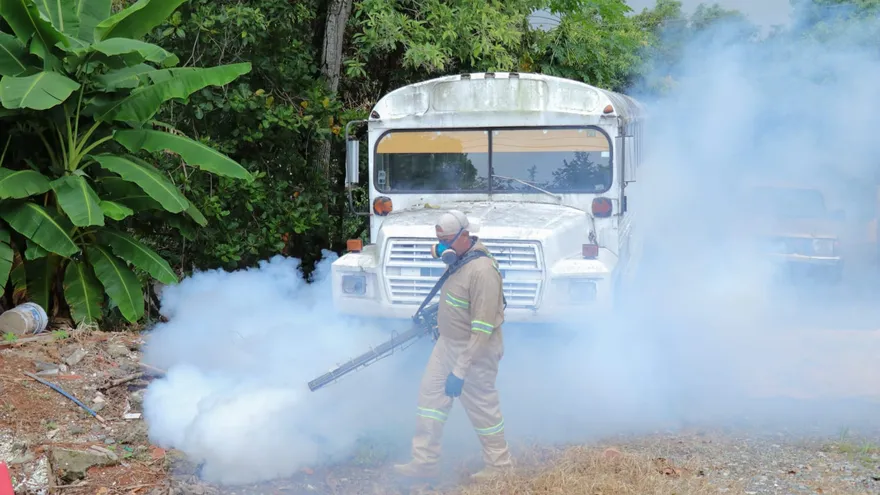 Casos de dengue bajan 27.3% en Panamá, pero Minsa pide no bajar la guardia