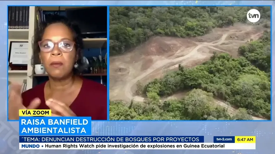 Reacciones por denuncias de daños a bosques por proyecto del MOP