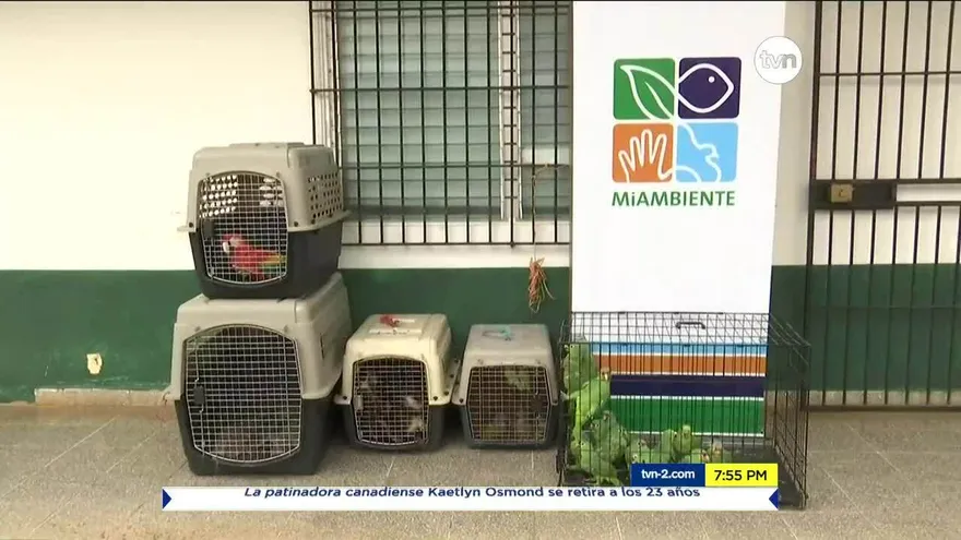 Ambientalistas condenan cautiverio de animales silvestres