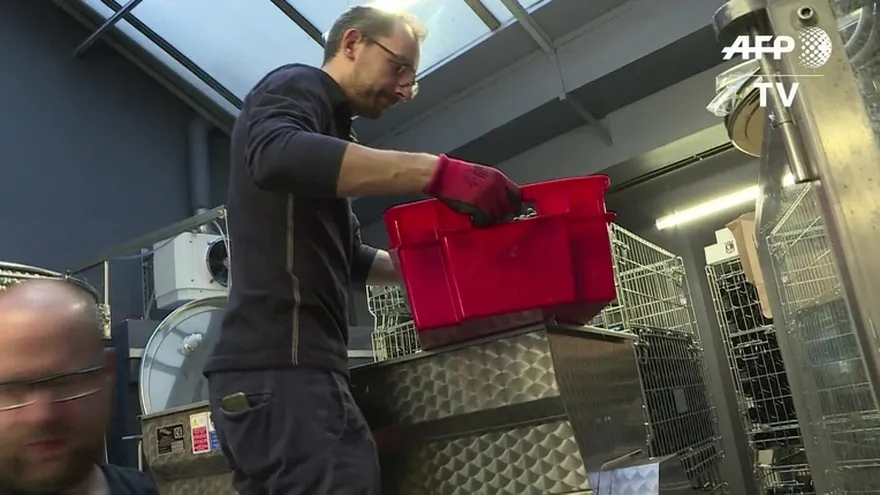 Una bodega urbana en el corazón de París